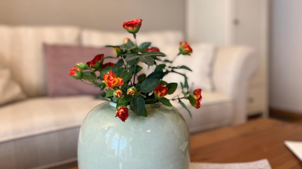 Ferienwohnung Sonnenblume 巴贝 外观 照片