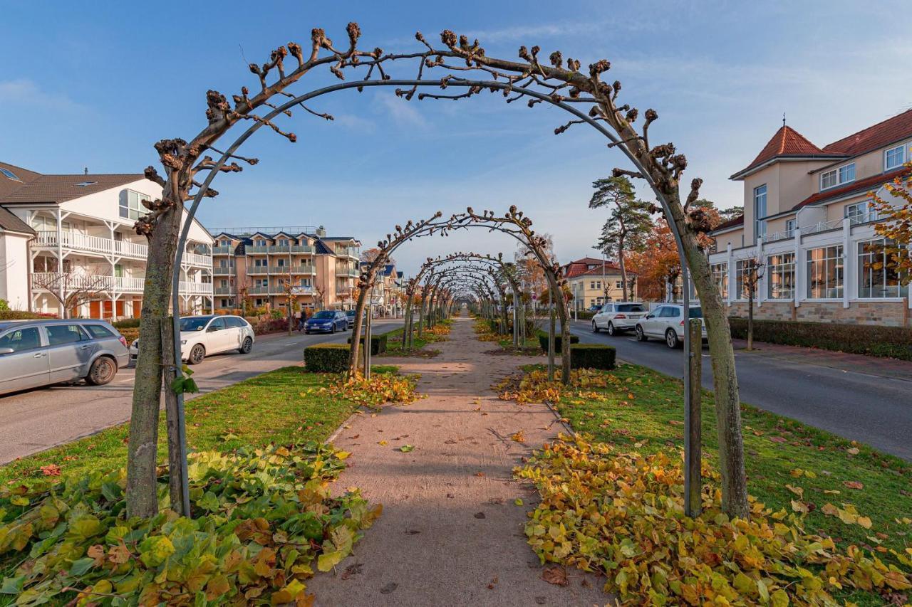 Ferienwohnung Sonnenblume 巴贝 外观 照片
